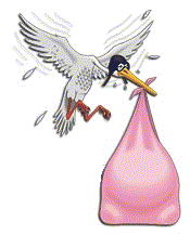 Stork.
